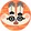 starseeddonghua