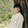 나인우