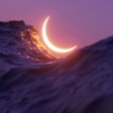 xiaodaidaiのlixianji