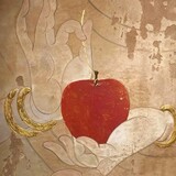 zheguobaoshuma