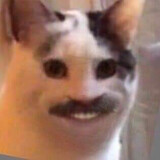 Gosutv