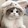 Ms. meow meow