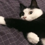 NatashaPolly