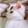 _lanchuan-
