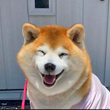 xiaohaoge798