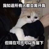 drtanfeng
