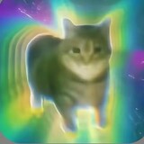 ioqwq