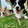 cutepet_