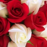 bili_1835185091