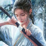 fanshi33