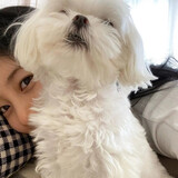 iceyxiaoxinrihe