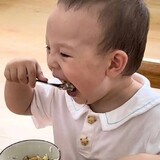 shibabandoulaoshi