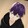 Rin/Yoru