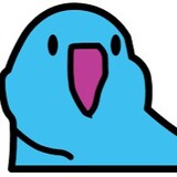 shiyangiulio
