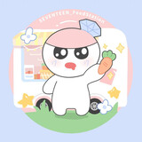 seventeen_toushizhan