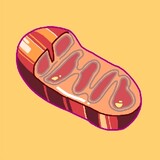 MITOCHONDRIAxianliti