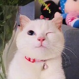 ___bingbingbingbingbingbing