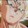 Prinsipe_Vegeta