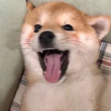 meijingsi