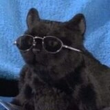 น้องดิบพาเสือดำไปสภา