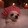 vousmevoyezz-
