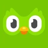 duolinguo-duolingo