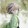 qiujiaheのzhuisuizhe