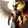 Half Angel_2014