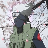 Kakashi Crush