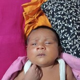 mijan15