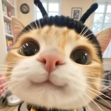 guyue___meme