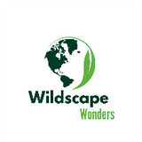 wildscapewonders