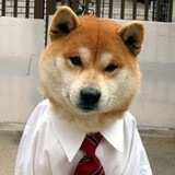 baoxiaorenjianyanhuo