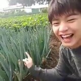Aloe_Vera2122