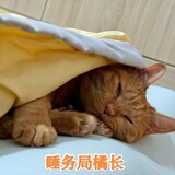 shuiwujujuzhang-1