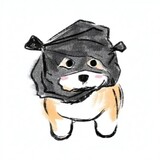 yangwangxukong