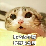 miaomiaodonghuawu