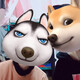 creator avatar