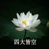 wudaodingliuking