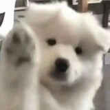 suziyunyouchibi