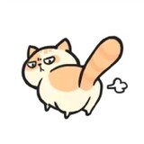 woniumeiyoukeer