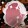 nishuideyu____udou