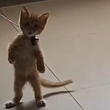 menghuanxiaoliuxiaol