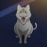 KUCING_BUDUG