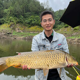 xiaosong___iao