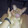 pvvc-