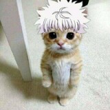 Random-Movie-With-Killua