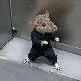 ___xiaohaimeme