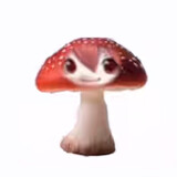 wumingguantongxue