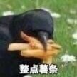 li___tuntun